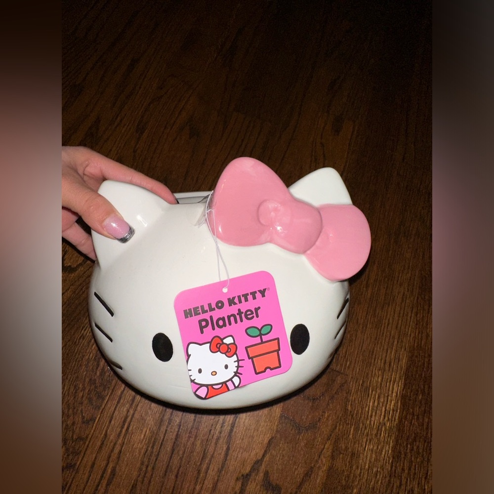 HELLO KITTY PLANTER